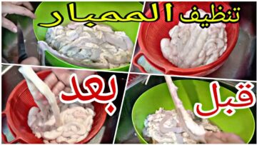 فكرة عبقرية لتنظيف الممبار من رائحة الزفارة بسهولة وبسرعة بمكون ميخطرش على بالك