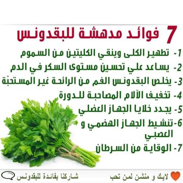 تعرف علي أهم فوائد البقدونس الصحية للجسم العشبه الخضراء السحرية