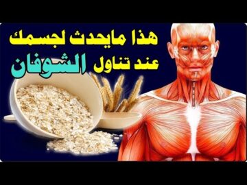 هذا ما يحدث لجسمك عند تناول الشوفان يومياً فوائد الشوفان السحرية التي لم تسمع بها من قبل