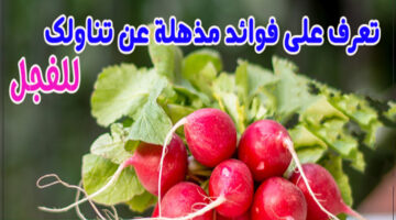 فوائد الفجل
