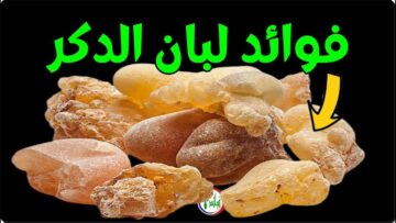 أسرار فوائد لبان الذكر للجسم والتخلص من الأمراض