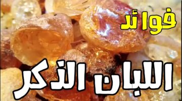 فوائد لبان الذكر على الريق 1