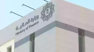 كيف يمكنني الاستعلام عن العوائد السنوية عبر وزارة المالية السعودية