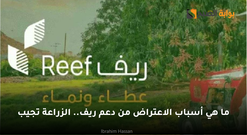 ما هي أسباب الاعتراض من دعم ريف.. الزراعة تجيب 5 ما هي أسباب الاعتراض من دعم ريف.. الزراعة تجيب