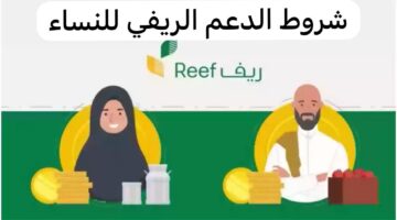 ما هي شروط دعم ريف للعاطلين في السعودية
