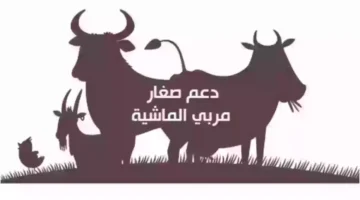 متطلبات الاستفادة من دعم مربي الماشية