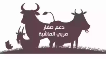 ما هي متطلبات الاستفادة من دعم مربي الماشية السعودي؟