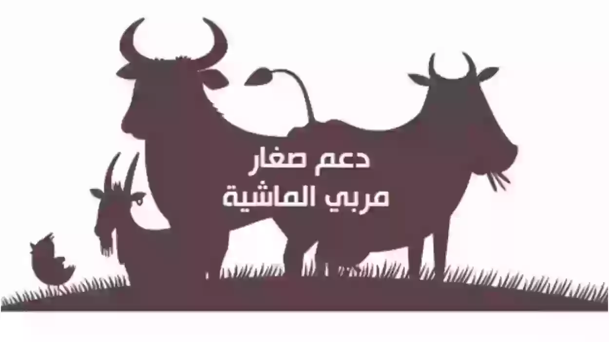 ما هي متطلبات الاستفادة من دعم مربي الماشية السعودي؟