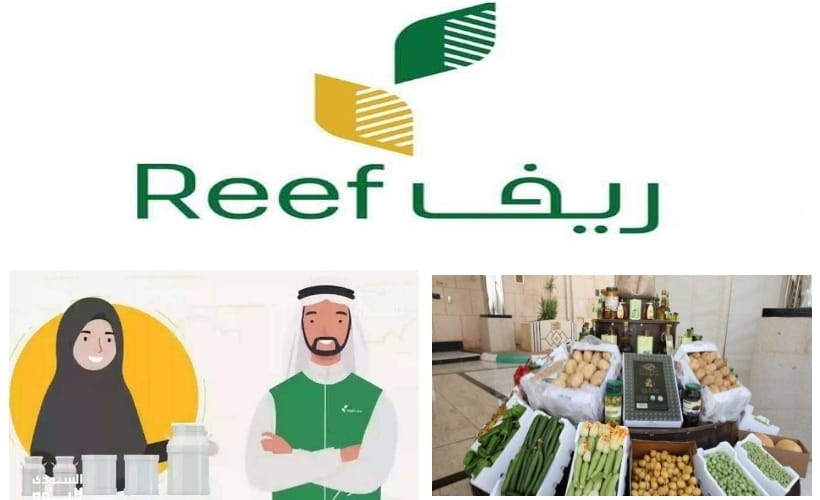 بدأ العد التنازلي.. موعد صرف دعم ريف ديسمبر 2023 بعد اعلان وزارة البيئة والزراعة الدفعة الأخيرة لهذا العام!