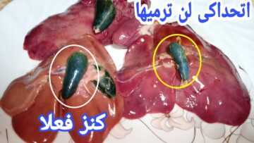 طول عمري برمي مرارة الدجاج ومكنتش أعرف انها كنز فالبيت لن تتخيلي استخدامه