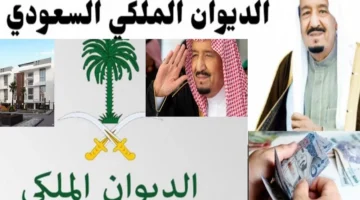 مساعدة مالية من الديوان الملكي