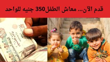يصل لـ 1050 جنيها للأسرة…كيفية التقديم في معاش الطفل خطوة بخطوة..(الشروط والمستندات المطلوبة)