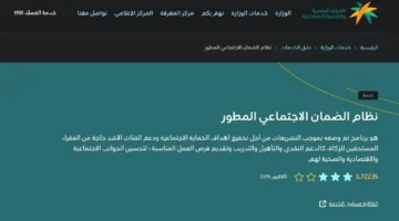 معايير الاستفادة من الضمان