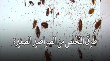 من 1