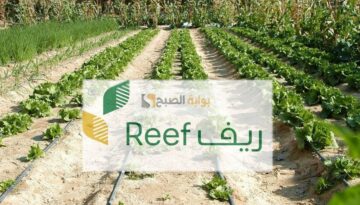 من يستحق دعم ريف وكيفية الاستعلام عن الأهلية 1445
