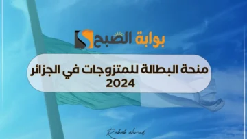 “800 دينار” للفئات المستفيدة.. ما هي شروط منحة البطالة للمتزوجات 2024؟