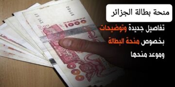 منحة بطالة الجزائر 2024 جميع البيانات المطلوبة