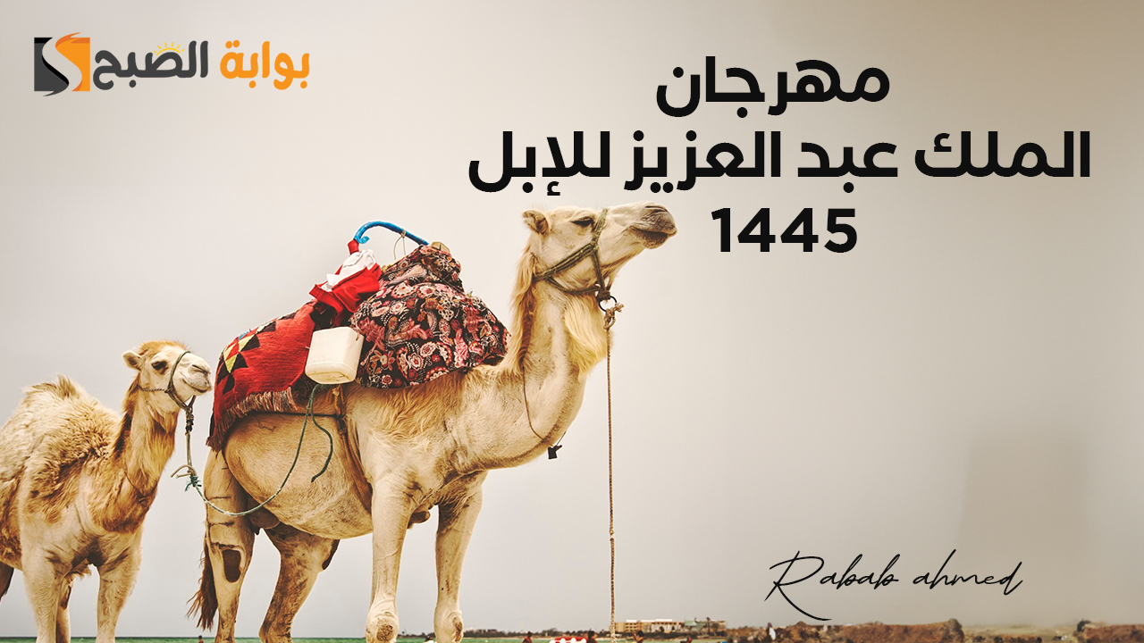 متى ينتهي مهرجان الملك عبد العزيز للإبل 1445؟ كل ما تريد معرفته عن الفعاليات والجوائز 2 متى ينتهي مهرجان الملك عبد العزيز للإبل 1445؟ كل ما تريد معرفته عن الفعاليات والجوائز