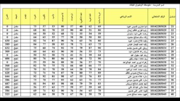 رابط استخراج نتائج الصف السادس الإعدادي الدور الثالث في العراق 2023 عبر موقع نتائجنا