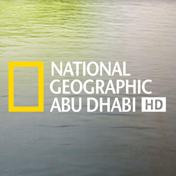 تردد قناة ناشيونال جيوغرافيك nat geo 2023 على عربسات ونايل سات 5 تردد قناة ناشيونال جيوغرافيك nat geo 2023 على عربسات ونايل سات