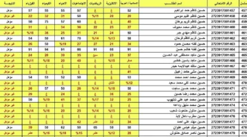نتيجة 1