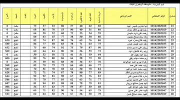نتيجة الصف السادس