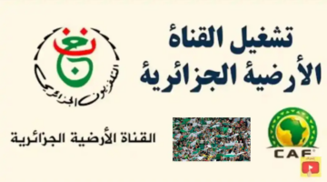 نسخة ‏image 9.jpg