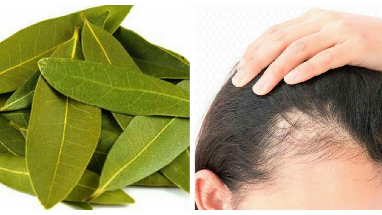 شعرك هينمو بجنان والله.. ورق عطري نتيجته رهيبة عندما تضعيه على الشعر لن تتخيلي مفعوله