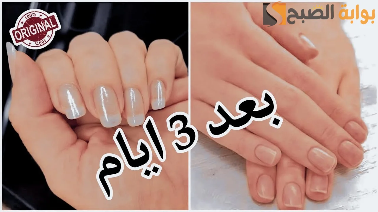 هتجيب من الآخر.. مجموعة من الوصفات الطبيعية لتقوية الأظافر ونموها السريع "مش هتتكسر تاني وهتنسي الجل والإكلريك" 2 هتجيب من الآخر.. مجموعة من الوصفات الطبيعية لتقوية الأظافر ونموها السريع “مش هتتكسر تاني وهتنسي الجل والإكلريك”