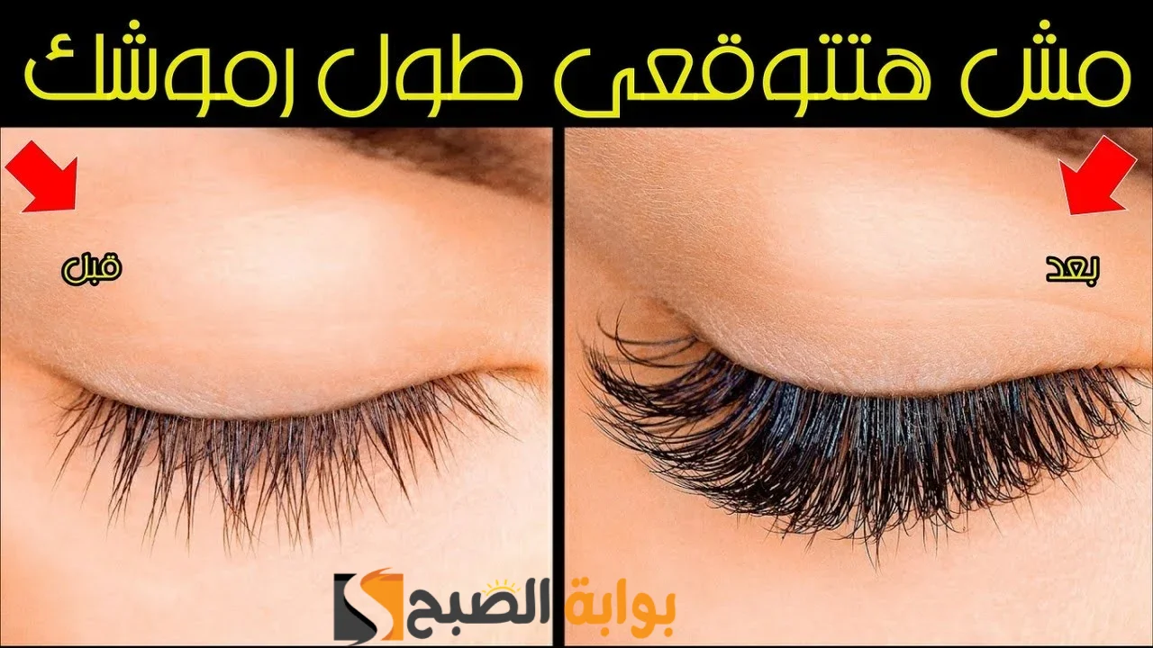 ودعي الرموش الصناعية.. كثفي رموشك وتقلي حواجبك دلوقتي مع خليط زيت الزيتون والفازلين "هتبقي زي نجمات هوليوود" 2 ودعي الرموش الصناعية.. كثفي رموشك وتقلي حواجبك دلوقتي مع خليط زيت الزيتون والفازلين “هتبقي زي نجمات هوليوود”
