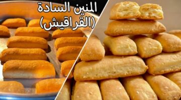 ٢٠٢٣١٢٠٣ ١٦٤٩٤٩