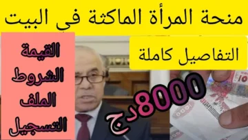 “قدمي حالا”.. شروط منحة المرأة الماكثة في البيت 2024 minha anem dz في الجزائر