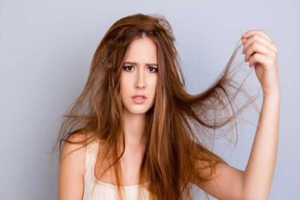 ترطيب ونعومة ولا أروع … وصفات طبيعية للشعر الجاف مش هتبطلي تجربيها 5 ترطيب ونعومة ولا أروع … وصفات طبيعية للشعر الجاف مش هتبطلي تجربيها