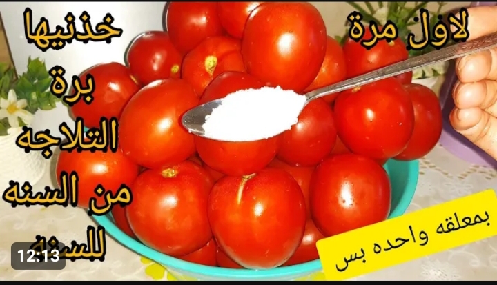 هتقعد بالسنة ولا هيحصل لها اي شي .. طول عمرنا بنخزن الطماطم غلط خزني اكتر من 20 كيلو طماطم برة الثلاجة 5 هتقعد بالسنة ولا هيحصل لها اي شي .. طول عمرنا بنخزن الطماطم غلط خزني اكتر من 20 كيلو طماطم برة الثلاجة