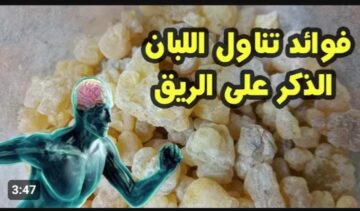 لأول مرة هتعرفها.. فوائد تناول لبان الذكر على الريق جربه كل ليلة فهذا ما يفعله بجسمك النتيجة ستفاجئك