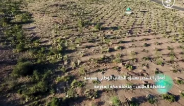 زراعة 150 ألف شجرة محلية في متنزه الطائف الوطني بسيسد