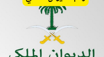 19 11 23 682343724