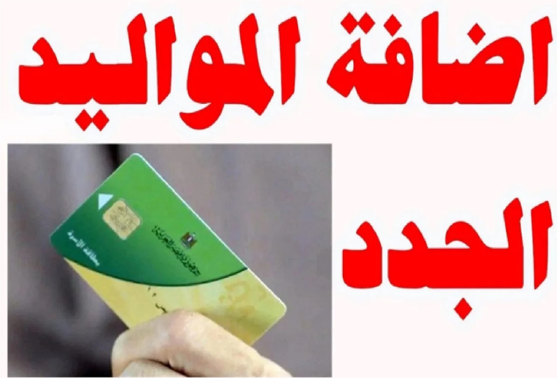 طريقة إضافة المواليد على بطاقة التموين والفئات المستحقة للدعم 2024 بتصريح من وزير التموين 2 طريقة إضافة المواليد على بطاقة التموين والفئات المستحقة للدعم 2024 بتصريح من وزير التموين