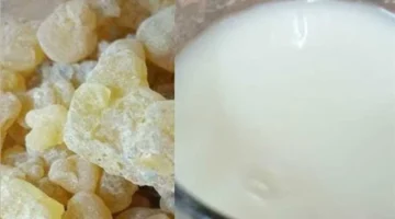 2023 02 01 1675255308