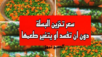 3D020A6E BC1E 4B0C B52A 1C3EE8A94E43