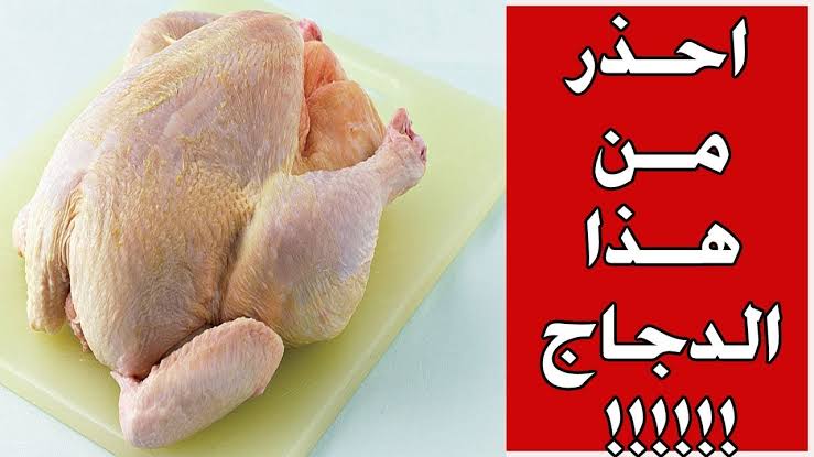 أماكن بالدجاج ممنوع أكلها نهائيا تسبب العديد من الأمراض 5 أماكن بالدجاج ممنوع أكلها نهائيا تسبب العديد من الأمراض