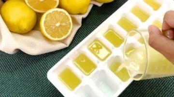 550px nowatermark Store Lemons Step 7 Version 6 313008 original 1