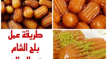 IMG 20240122 WA0001