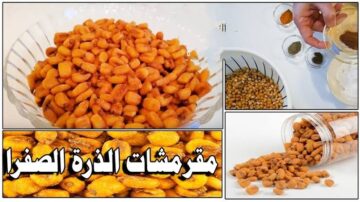 اصنعيها بإيديكي.. طريقة عمل الذرة المحمصة المقرمشة في المنزل الأكثر طلباً بين المقرمشات.. بتتبيلة مميزة