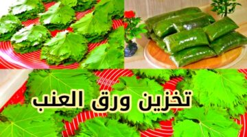 IMG 20240125 151355