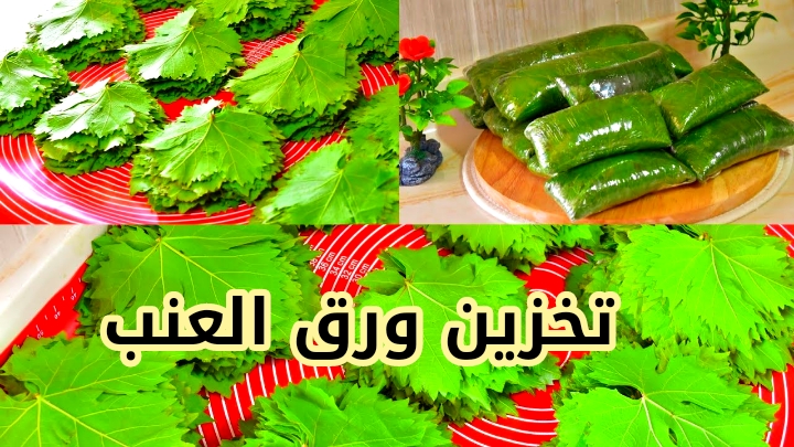 خزين الموسم… تعرفي على طريقة تخزين ورق العنب في البرطمان لمدة سنة دون تغير في اللون أو الطعم!! 