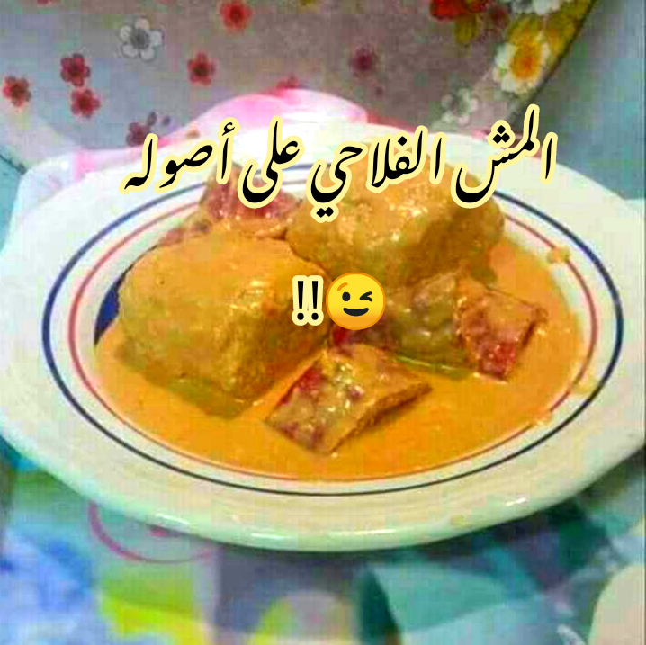 طريقة عمل المش الفلاحي على أصوله وبطعم لا يقاوم.. على طريقة أهل الصعيد؟!! 5 طريقة عمل المش الفلاحي على أصوله وبطعم لا يقاوم.. على طريقة أهل الصعيد؟!!