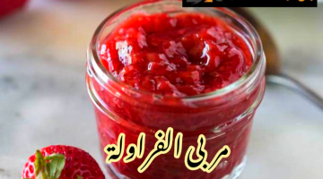 IMG 20240129 121824