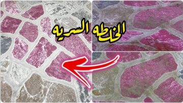 تنظيف السجاد في البيت بخطوات بسيطة ونتائج رائعة.. رجعيه جديد زي الفل!