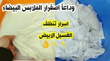 IMG ٢٠٢٢٠٥٢١ ٠٢٤٧٣٤ 1